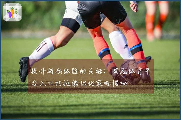 提升游戏体验的关键：满冠体育平台入口的性能优化策略揭秘